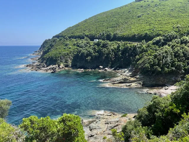 Les formes du viager - Expert en Occitanie