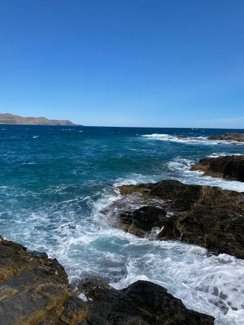 Questions frequentes sur le viager en Occitanie